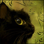  Черный котенок с желтыми <b>глазами</b> 