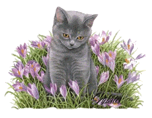  <b>Серый</b> котенок в весенних цветах 