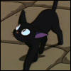 Черный кот (12)
