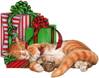  Котик <b>устал</b> от подарков 
