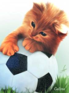 Котенок обнимает мячик. Кот - футболист