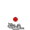 Играющий котенок