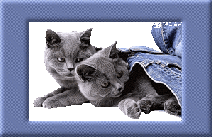 Картина с дымчатыми котятами