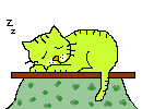 Салатный кот