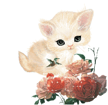 Глазастенький котенок с розами