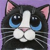 Котенок с грустными голубыми глазами
