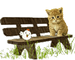 Котик с цыпленком на скамье