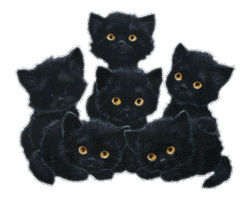 Шесть маленьких котят хлопают глазками