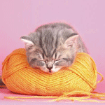 Котенок на подушечке лежит