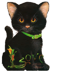 Черненький котенок с любовью
