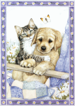 Котенок и щенок обнимаются