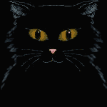 Подмигивающий черный котик