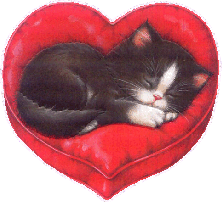 Красивенный котенок спит на подушке-сердечке