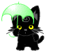 Черный котенок с зонтом