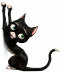 Черный котенок чешет когти
