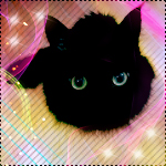 Черный котенок на розовом фоне