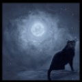 Черный кот (6)