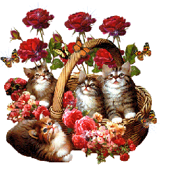 Котята и корзина с цветами