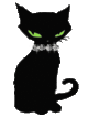 Черный кот (10)