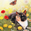 Котенок и бабочка на поляне среди цветов