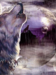  <b>Воющий</b> волк под дождем 