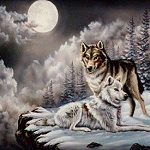  Волки зимой в лесу <b>ночью</b> 
