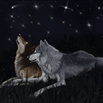 Волк и волчица смотрят на звездное небо