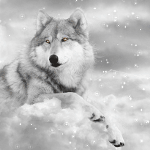  <b>Белый</b> волк лежит на облаке 