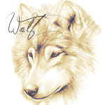  Рисунок волчицы (<b>wolf</b>) 