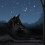 Волчица в звездную ночь