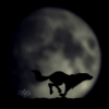  <b>Ночь</b>. Волк бежит на фоне луны 