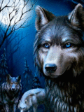 Синеглазый ночной волк
