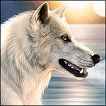 Белый волк на фоне озера и заходящего солнца, художник по...