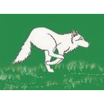 Белый волк бежит по зеленому лугу