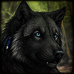 Черный волк с голубыми глазами. художник darkicewolf
