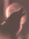 Волк в красных тонах воет на луну