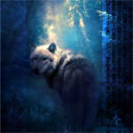 Белый волк в ночном лесу