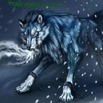 Злой волчара