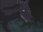 Волчара бредёт в темноте