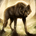 Серый волк стоит на лесной поляне, прислушиваясь к тому, ...