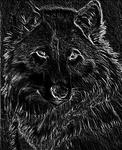 Нарисованный волк в контрастном плане