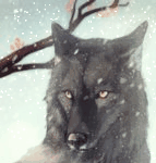 Серый волк под снегопадом, на фоне ветки дерева, художник...