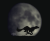 Волк бежит на фоне большой луны