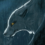 Волк с горящими желтыми глазами под дождем