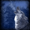 Воющий волк на фоне ночного леса