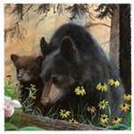  <b>Пара</b> черных медведей в окружении ромашек 