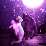  Кошка с розовым бантом и кот сидят на <b>крыше</b> ночью 