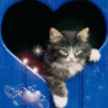 Котёнок в окошке в форме сердечка