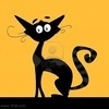  <b>Черный</b> кот с выразительными глазами на крыше 