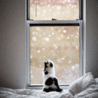Котенок смотрит из окна на падающий снег